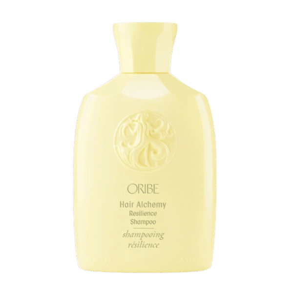 HAIR ALCHEMY RESILIENCE SHAMPOO stiprinamasis šampūnas plaukams - Image 2